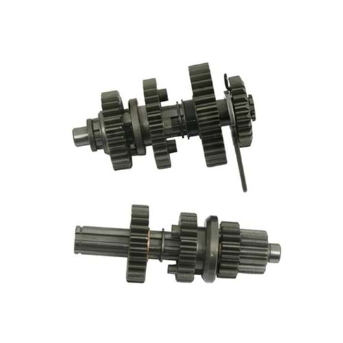 CUB ŞANZIMAN TAKIM 100KH MSK