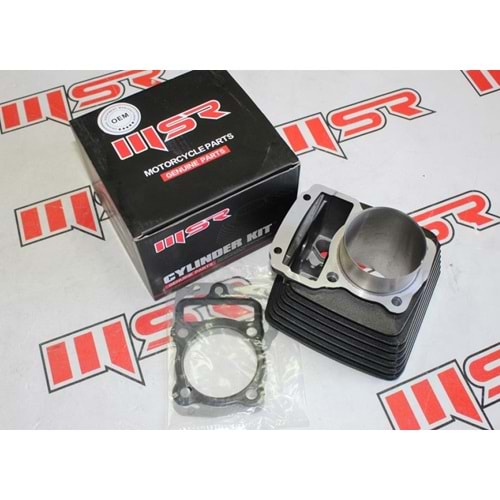 CG 250 SİLİNDİR MSR 79.4 BOY 67 MM 15P 8 PETEK