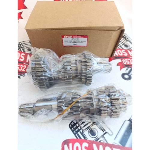 ÇİTA ŞANZIMAN 12 DİŞ MTS